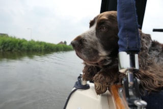 213923016_10158452431358031_3972746466816393981_n