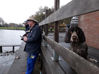 47217957_10156129288708031_6938202985864364032_n