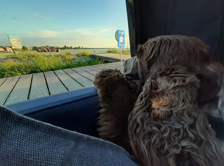 117906380_10157705907403031_3621763908757224787_n