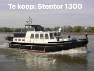Stentor