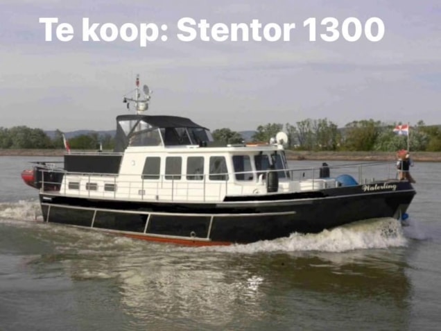 Stentor