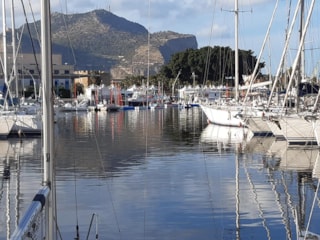 243414130_4456788177722164_2900698681706331762_n