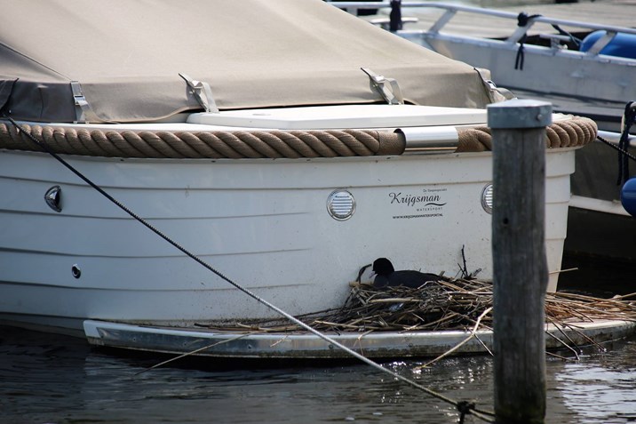 F5A2B71E-2C42-4D40-9FC0-7C3759CF51D1