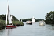 Afbeelding 7