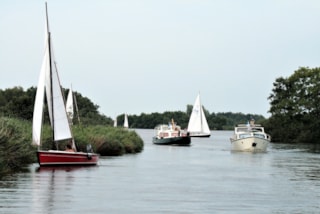 Afbeelding 7