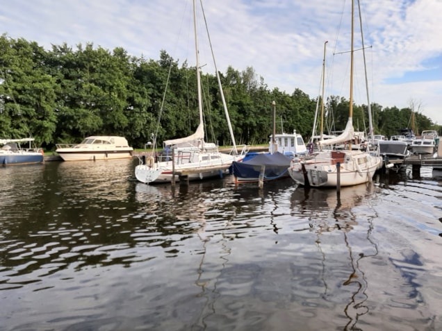 C18EC33A-99FF-4D13-819C-E46227CBFF70