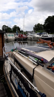 ABE77EF1-40D0-4FE4-AD33-35BA572B780D