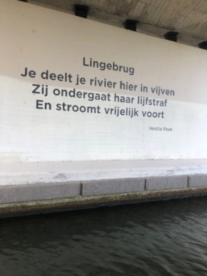 DDB40C91-AF61-4AB8-A1F3-F783ED55FC41