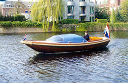 Scherpel vlet (nieuw)