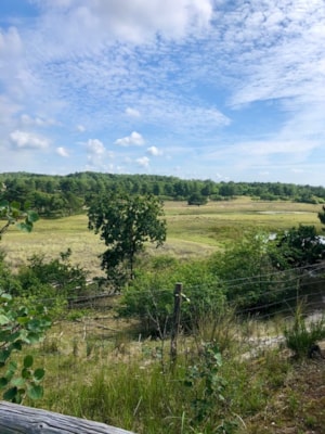 F4AC1A7A-7572-47D3-BEEE-22EC4B4316C7