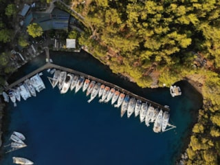 FD9CF692-ACAA-4D31-9500-73558E781378