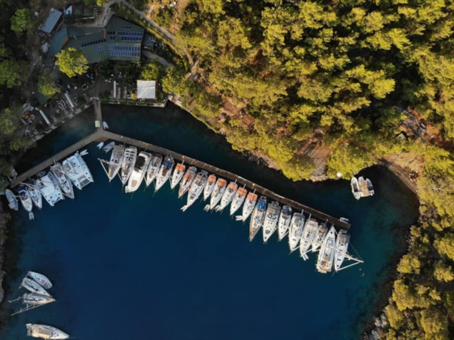 FD9CF692-ACAA-4D31-9500-73558E781378