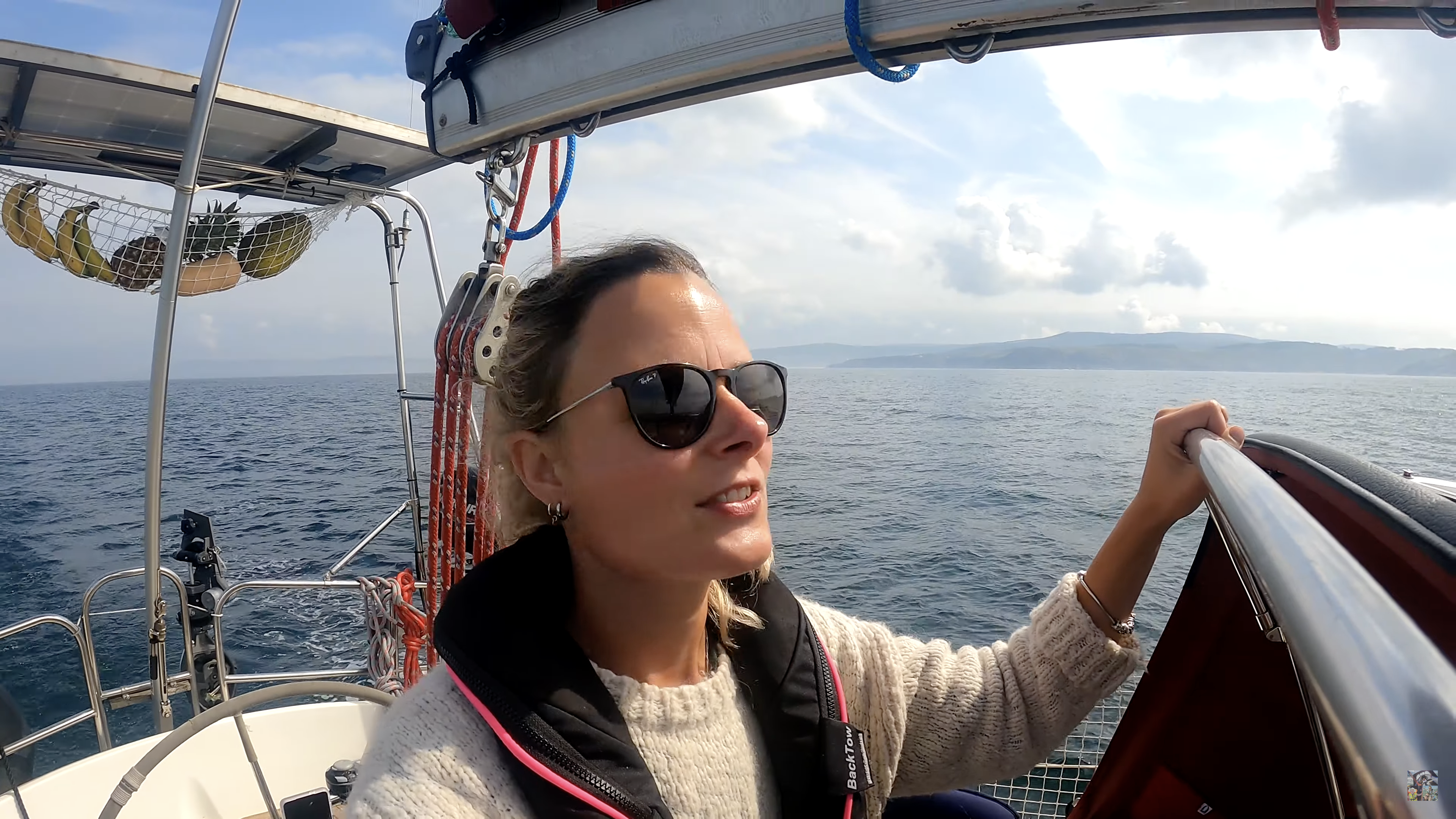 Verstrikt in mist...dolfijnen schieten te hulp