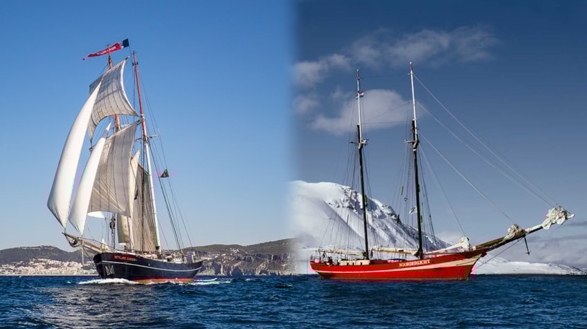 Wylde Swan Reade Swan Noorderlicht header