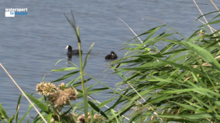 Schermafbeelding 2021-12-21 om 12.18.27