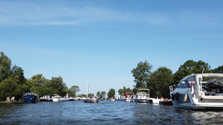 Schermopname (430) - kopie