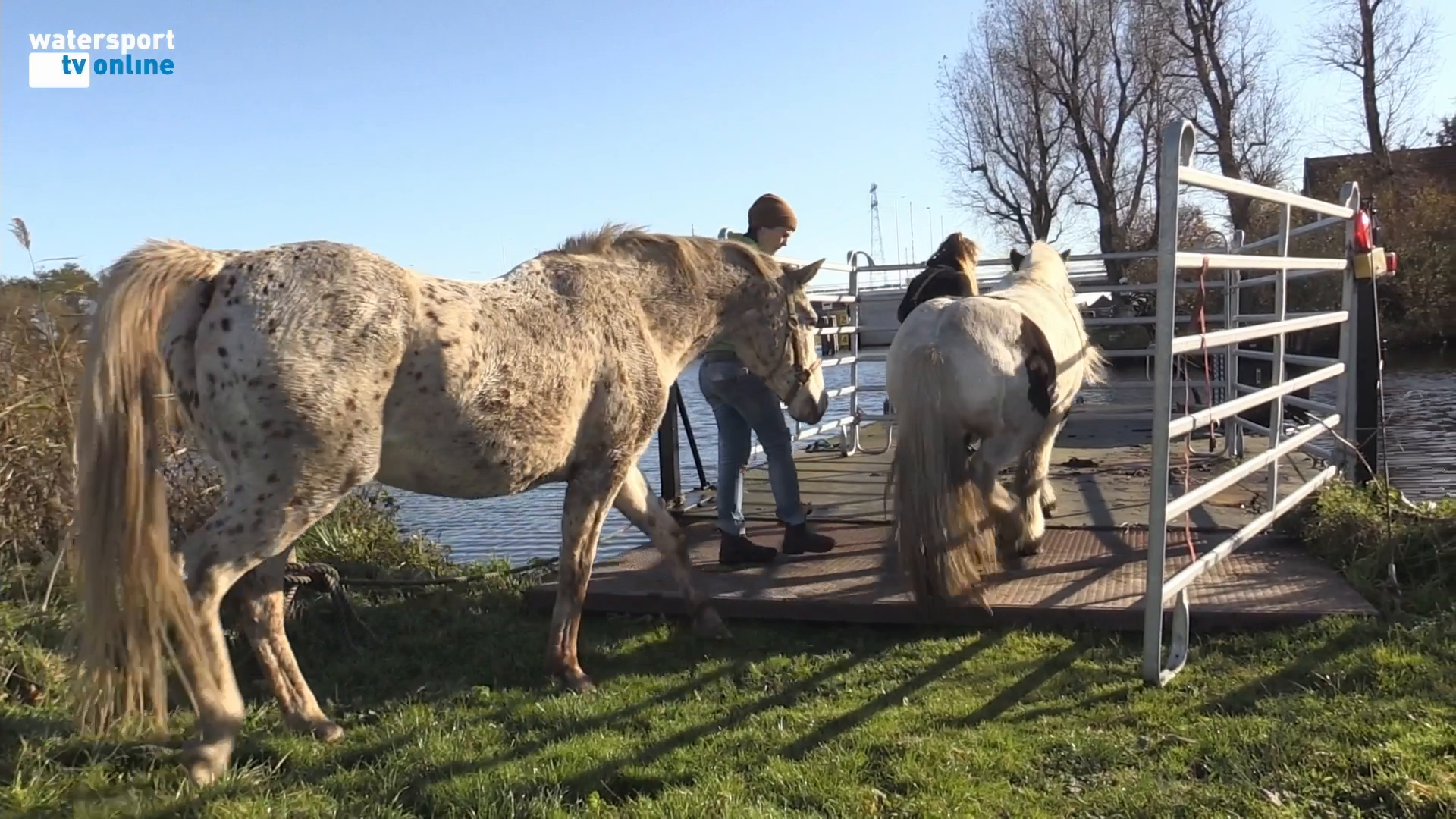 Op de haven...woensdag aflevering 4 online!