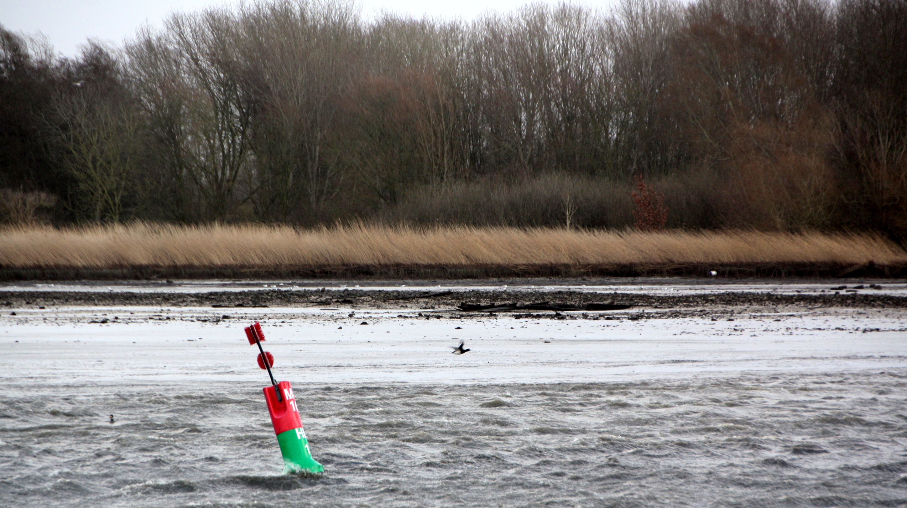 Column Evert Stel...Niet gehinderd door kennis