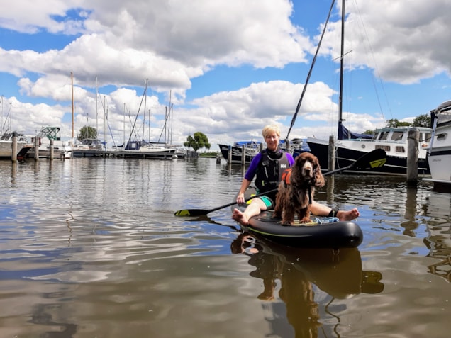 81B6DB34-F2F3-4368-B6E7-5B73FBB82C90