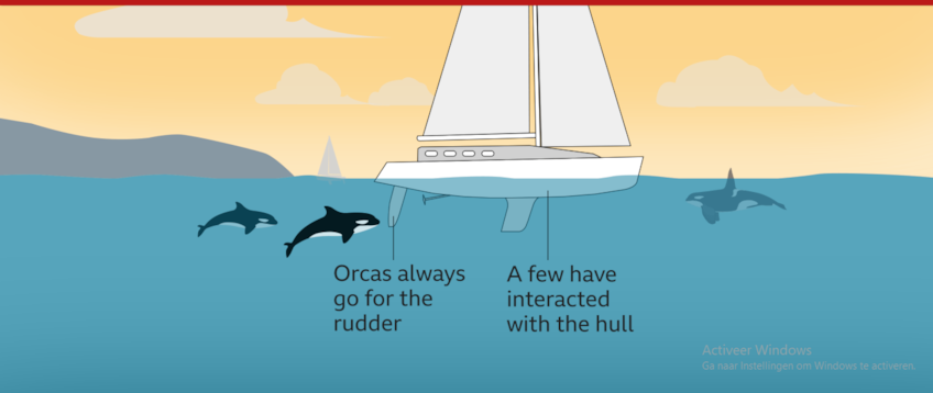 75739189-A198-4A8C-AC2F-9CCC85921C26