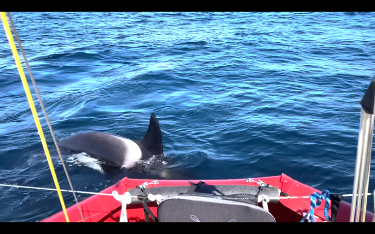 Schermafbeelding 2022-03-04 om 06.39.09