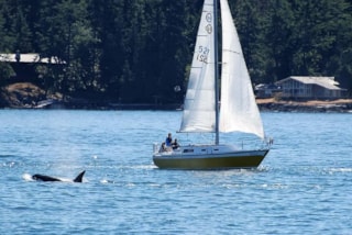 AA4C3AF5-6DC6-405E-9A44-47A9FCC766E0