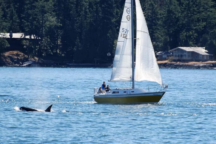 AA4C3AF5-6DC6-405E-9A44-47A9FCC766E0