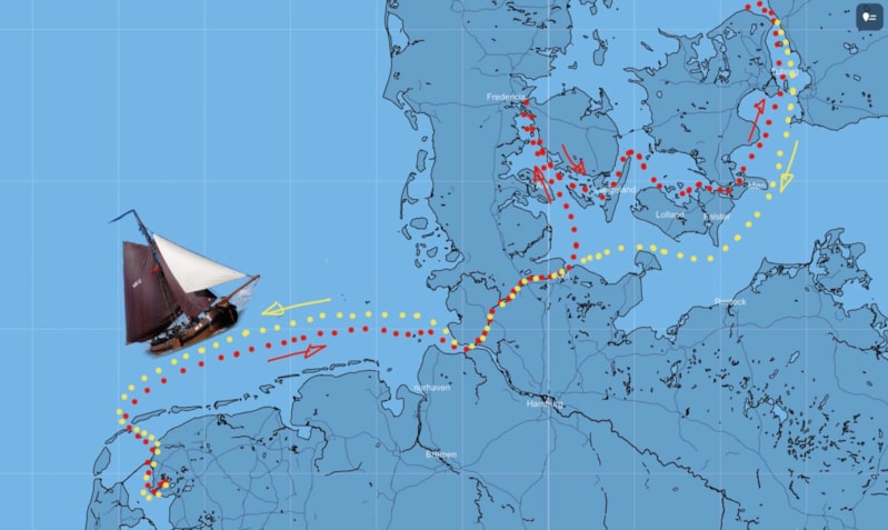Reis palingaak geschetst