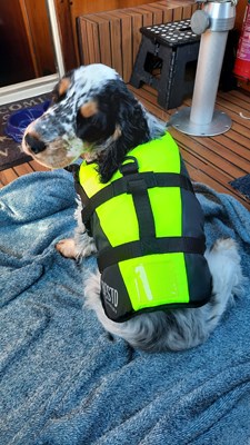 5A9C6C12-62FE-4CF6-91EC-77946304E3FE