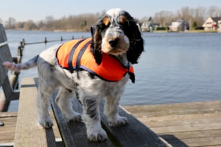 7827CF5A-81BB-4DA4-901A-7B29EA13B82A_1_201_a