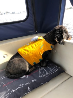 86FDBD61-4792-4683-A745-1CAFE490690B