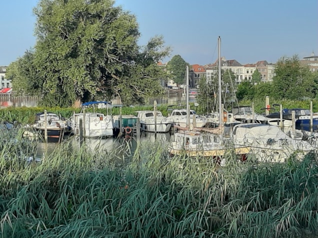 5866D072-EA32-4C5B-92BE-C797347B4962