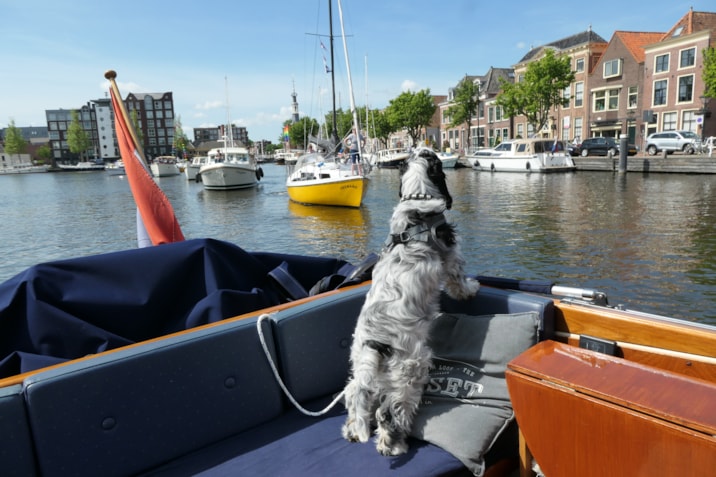 BB3F26D8-E9E5-4F15-8EEB-F367D4D0FC64