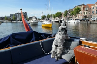 BF9C26C5-BD85-4DAD-B9F9-11A8FC0F9180