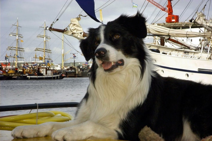 1D7DEB36-2511-482E-A539-1992334D9DFC