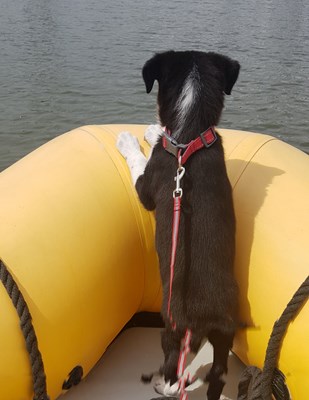 21F88776-A7B5-4094-8051-03BE765EC638