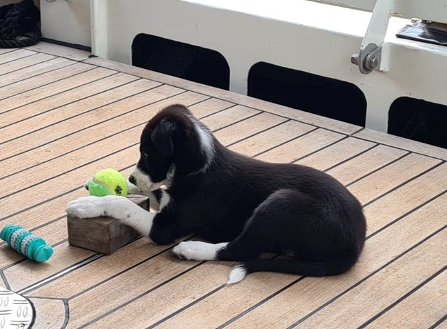 F68D969E-58B3-4FE3-91E0-8320C4AF0986