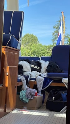 8670790C-B1CA-478C-B276-3BB6B6C0015F