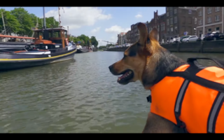 Schermafbeelding 2022-06-12 om 10.26.29