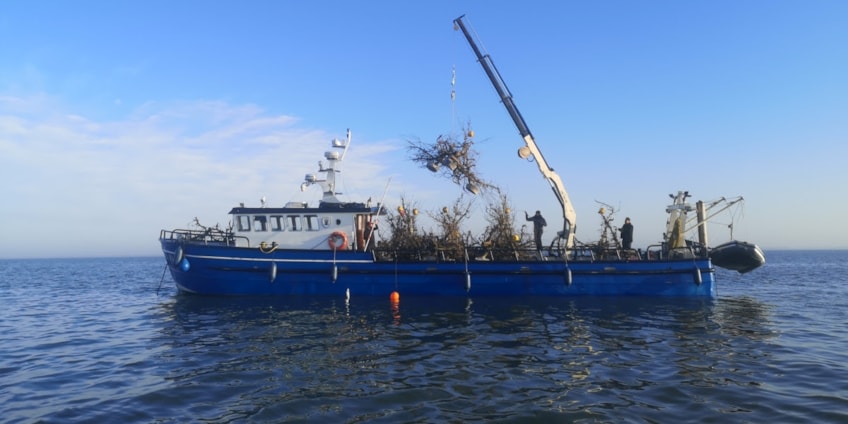 F2C043FD-0637-4C32-A0B1-4B92A0C18C7F