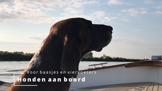 Schermafbeelding 2022-06-19 om 16.00.21