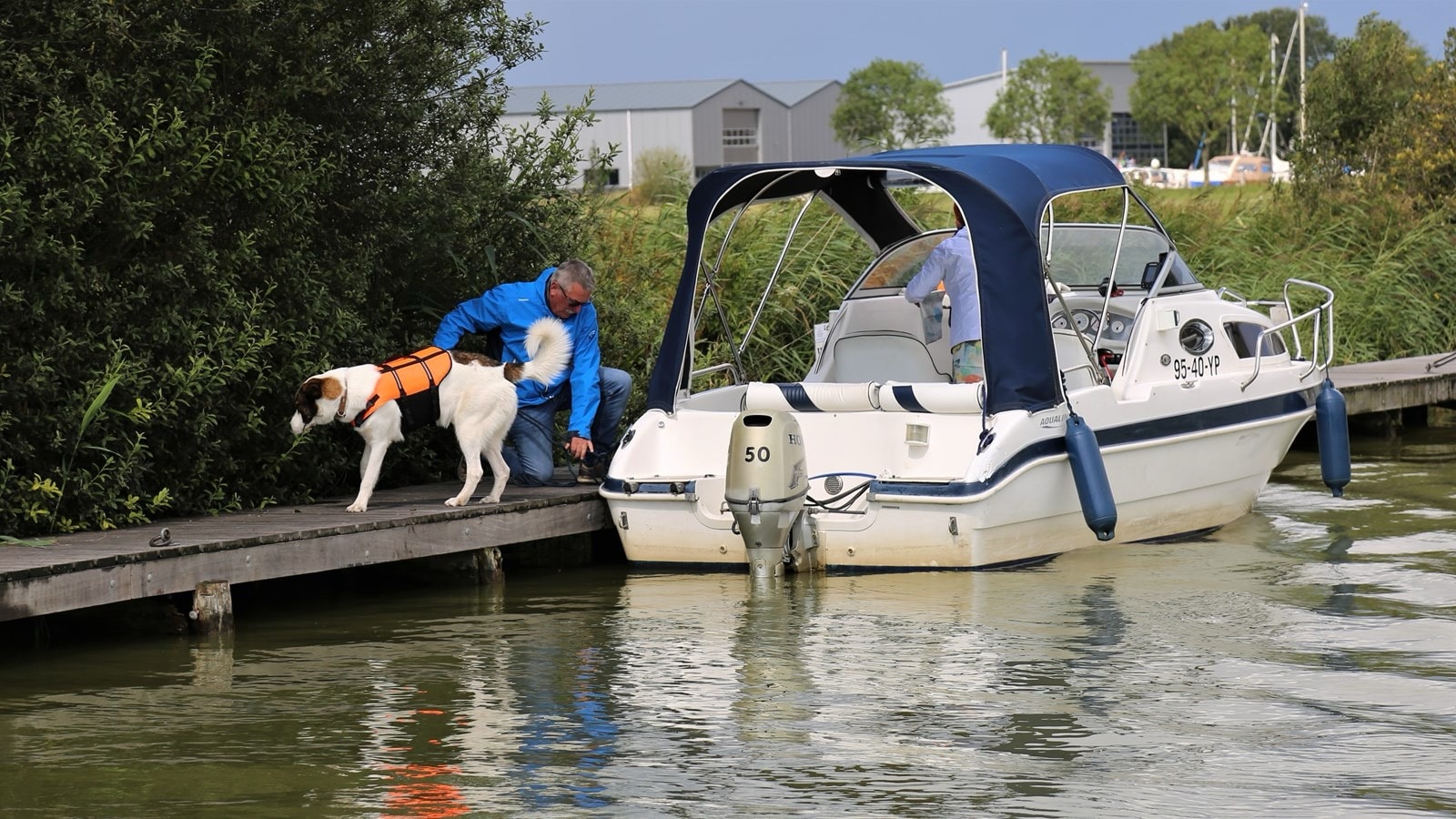 Honden aan boord...de beste maatjes op het water