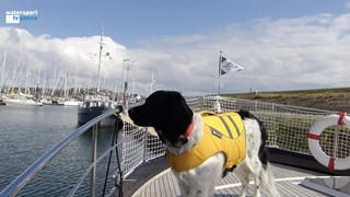 Schermafbeelding 2022-07-01 om 12.06.49