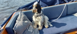 5DD0985C-94CD-4957-BCC0-87D19FD8E3C5