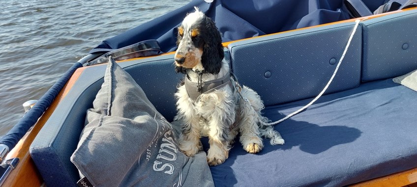 5DD0985C-94CD-4957-BCC0-87D19FD8E3C5