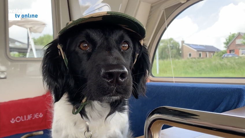 Schermafbeelding 2022-07-14 om 08.32.04