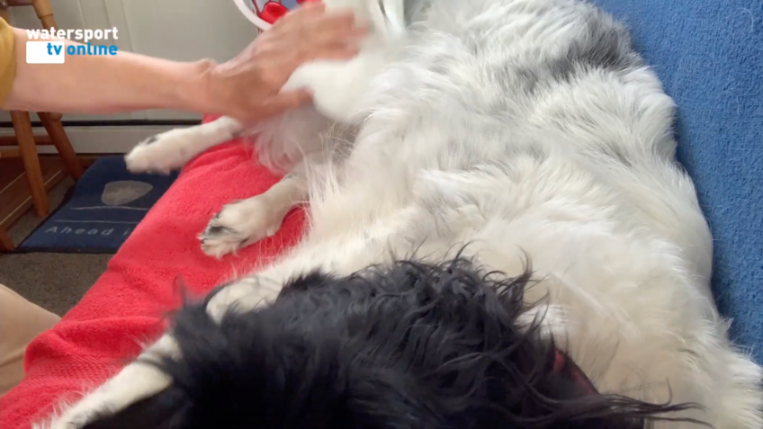 Schermafbeelding 2022-07-14 om 08.31.42