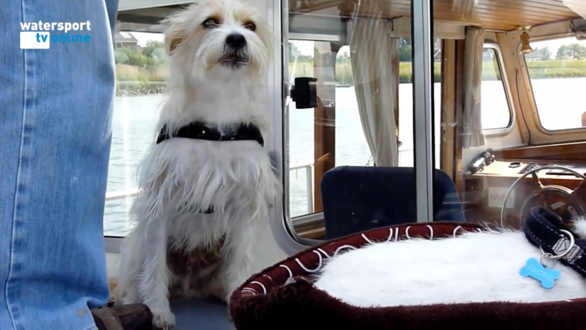 Schermafbeelding 2022-07-14 om 08.31.35