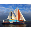 SailWise zoekt mensen met een beperking voor 24 uurs zeilrace