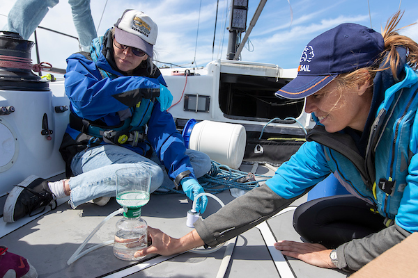 Professionele zeezeilers brengen biodiversiteit onderzeese kruisingen in kaart